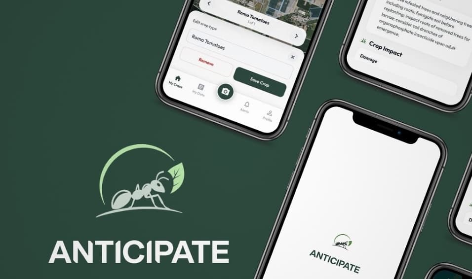 Anticipate mobile app interface